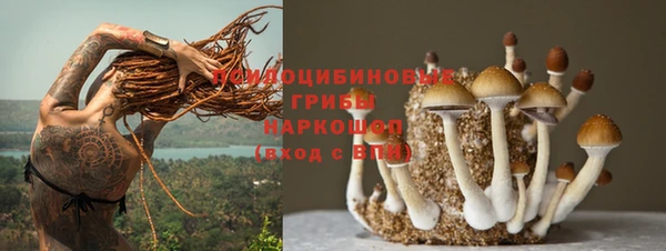 молекула духа Нея