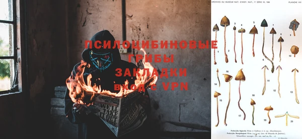 индика Михайлов