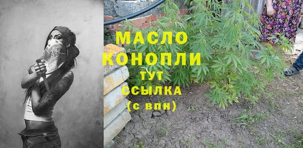 дмт Надым