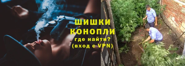 дмт Надым