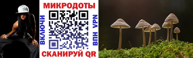Галлюциногенные грибы мицелий  купить закладку  Кадников 