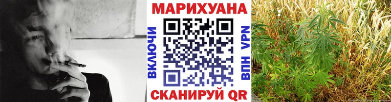 Бошки Шишки тримм  Кадников 