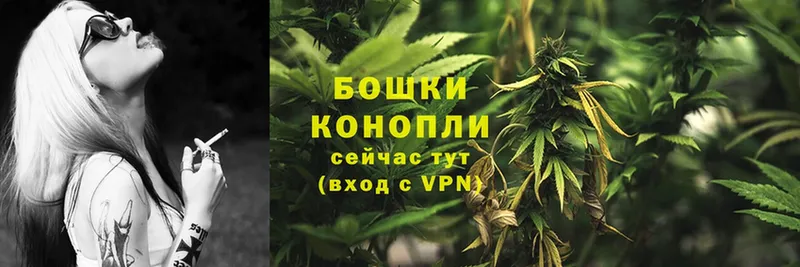 Конопля THC 21%  Кадников 